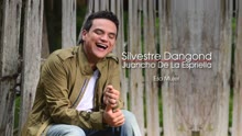 Silvestre Dangond - Esa Mujer (Cover Audio)