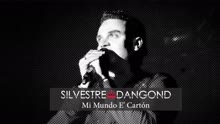 Silvestre Dangond,Rolando Ochoa - Mi Mundo e' Cartón (Cover Audio)