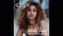 White Tiger (Cat Carpenters Remix) (Audio)