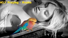 Kesha,Imagine Dragons,Zedd,Niall Horan,Camila Cabello - 2017 TOP10