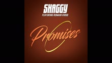 Promises (Audio)