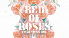 Afrojack & Stanaj - Bed Of Roses 歌词版