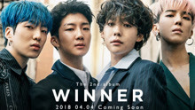 WINNER - WINNER - EVERYDAY