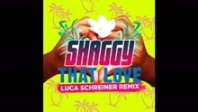 That Love (Luca Schreiner Remix [Audio])