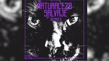 Naturaleza Salvaje (Remix)