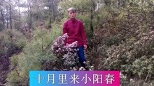 云南山歌：茫茫人海把你寻