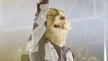 MAN WITH A MISSION - Fly Again - 现场特辑