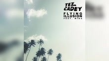 Tez Cadey - Flying Illusion (Audio)