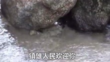 云南山歌祝你四季发大财