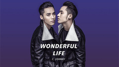 Wonderful Life 官方版