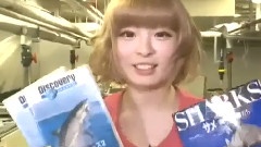 Kyary Pamyu Pamyu With Sharks