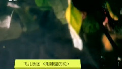 荆棘里的花 MTV版