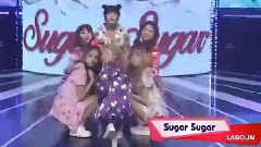 Sugar Sugar