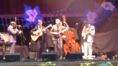 Telluride Bluegrass Festival CUT