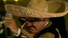 Vicente Fernández 作品