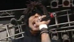 Hed Pe