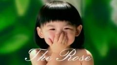 The Rose