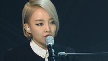 Younha - 没有 2013/12/13现场