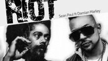 Sean Paul - Riot