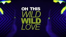 Pitbull - Wild Wild Love