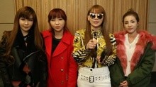 2NE1 - 2NE1北京演唱会30秒问候ID