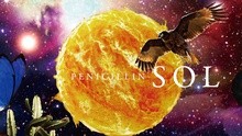 Penicillin - Sol