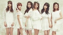 Apink - Apink - NoNoNo 日文版