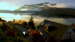 The Melody Of Spring New Zealand