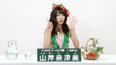 AKB48 32ndシングル選抜総選挙政见