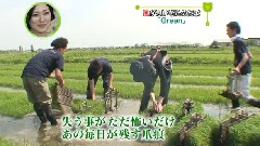 Green(NTV Touch Eco 2009)09/06/07