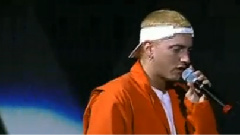 The Real Slim Shady The Up In Smoke Tour