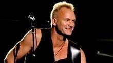 Sting - Desert Rose 官方版