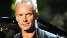 Sting - Fragile 官方版