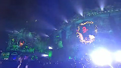 Tomorrowland 2014(Weekend 1)