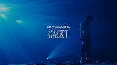 2013年GACKT演唱会BOTB最终场 5
