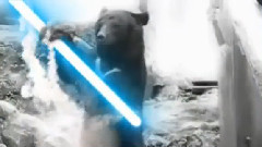 Kung Fu Bear