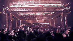 Qdance New Live