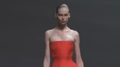 Christian Dior Haute Couture Fall Winter 2013/2014