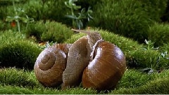 Life's Butt