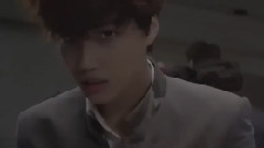 狼与美女少狼