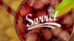 Sorrel