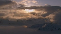 The Beauty Of Arcti