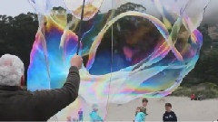 Giant Stinson Beach Bubbles