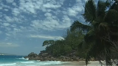 The Sand Beach Pillow