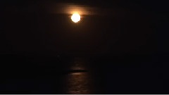 Silent Night