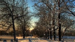 Amid The Falling Snow