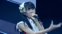 真夏のクリスマスローズ