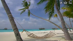 写给海洋