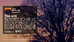 Infite - True Love (Sky Flight And Carl Overnet Remix) Pulsar Recordings