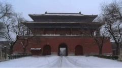 入静